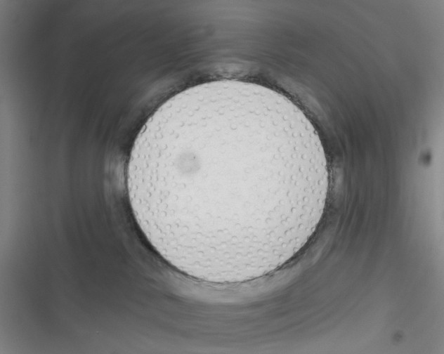 X0000116340042201001131054