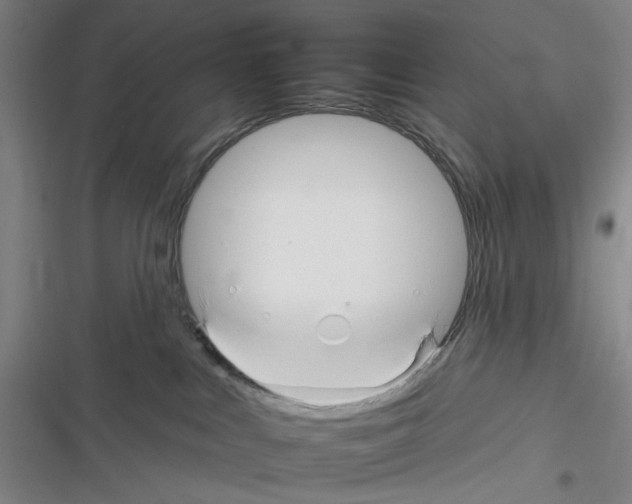 X0000116340043201001131054