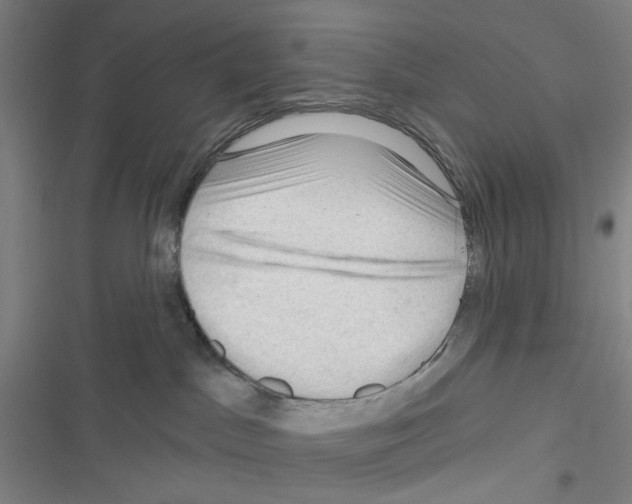 X0000116340045201001131054