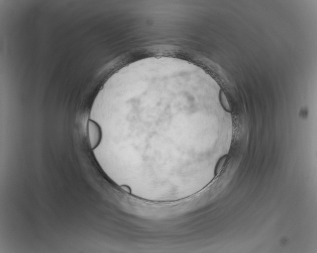 X0000116340047201001131054