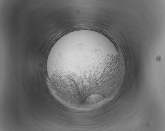 X0000116340048201001131054