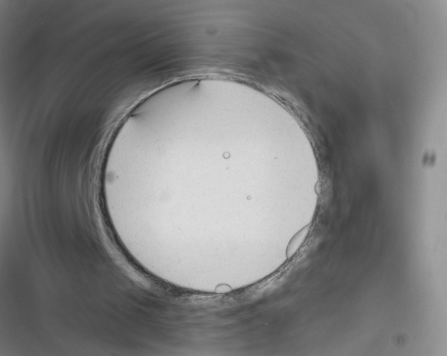 X0000116340049201001131054