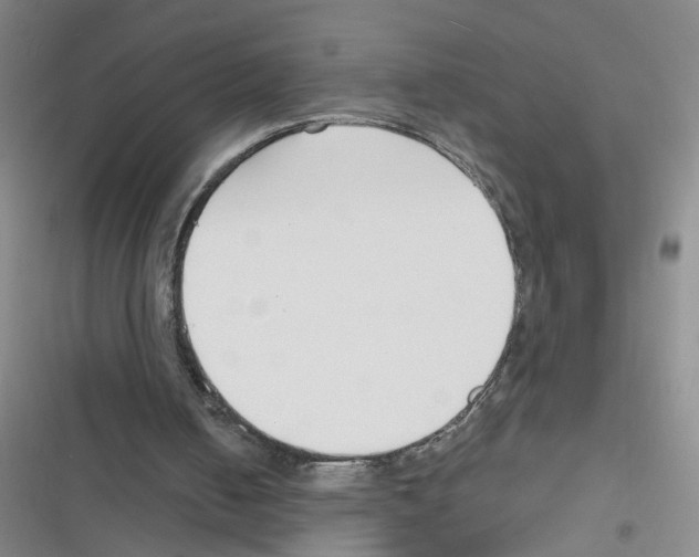 X0000116340050201001131054