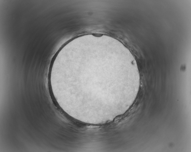 X0000116340052201001131054