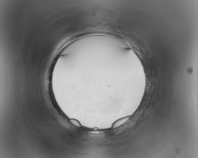 X0000116340053201001131054