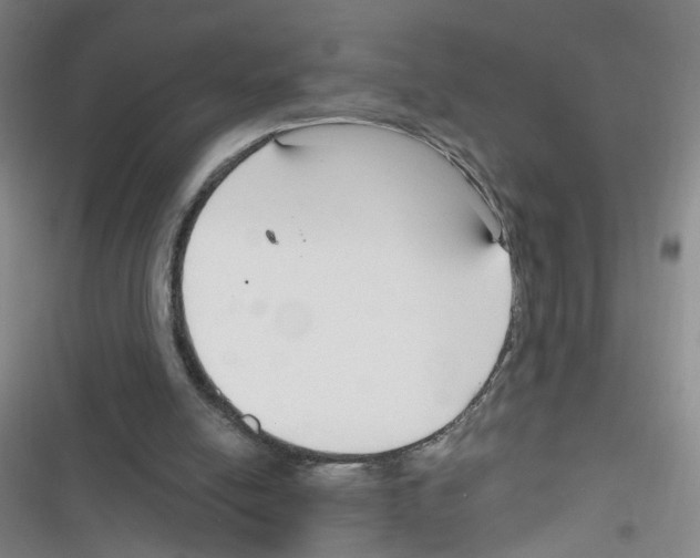 X0000116340054201001131054