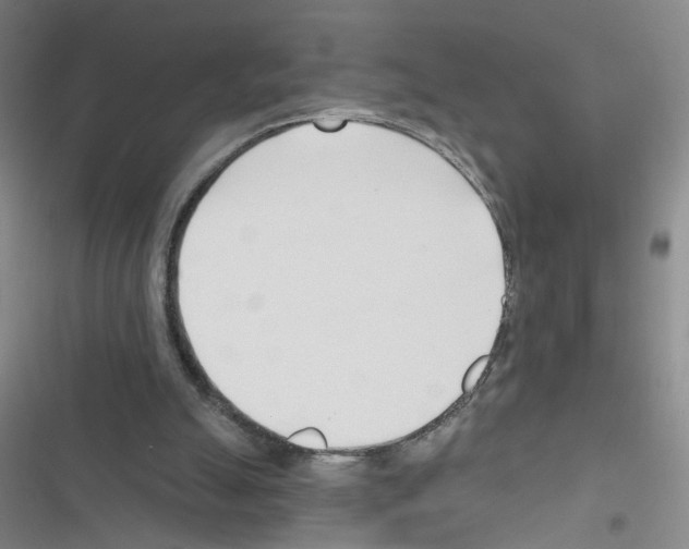 X0000116340055201001131054