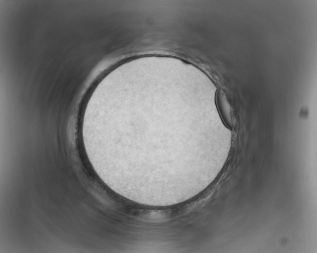 X0000116340056201001131054