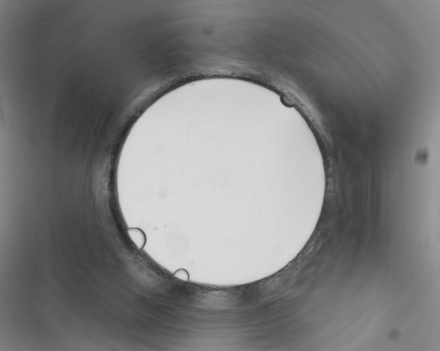 X0000116340058201001131054