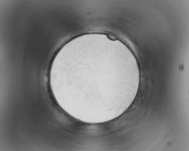 X0000116340059201001131054