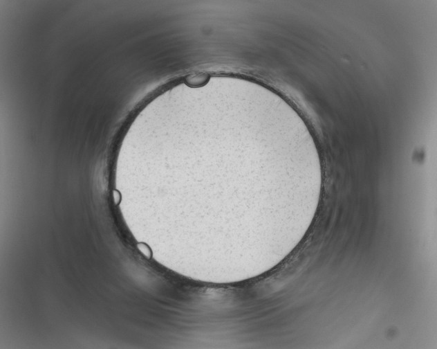 X0000116340060201001131054