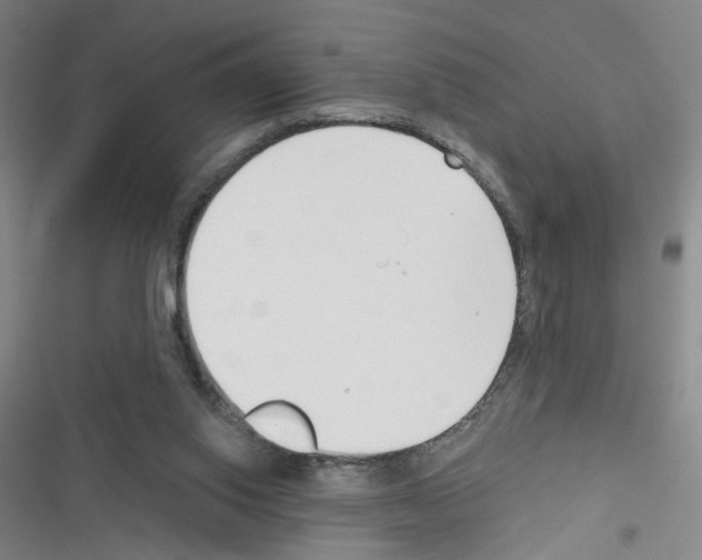 X0000116340062201001131054