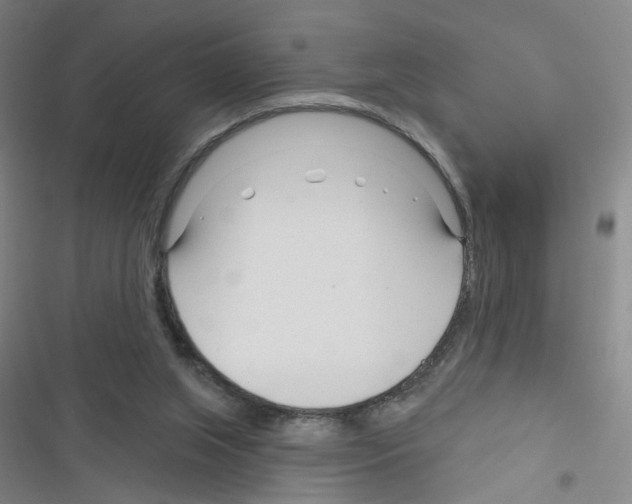 X0000116340063201001131054