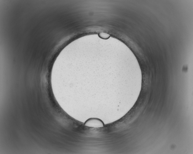 X0000116340064201001131054