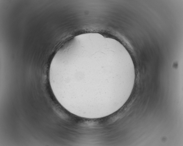 X0000116340065201001131054