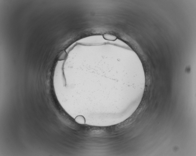 X0000116340066201001131054