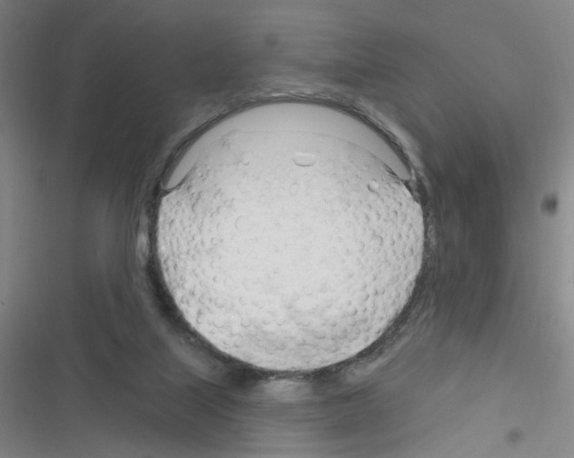 X0000116340067201001131054