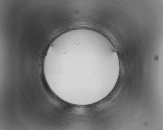 X0000116340071201001131054