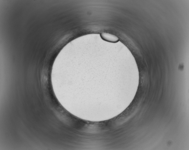 X0000116340072201001131054