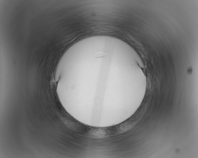 X0000116340075201001131054