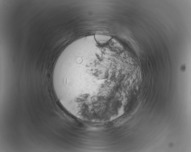 X0000116340077201001131054