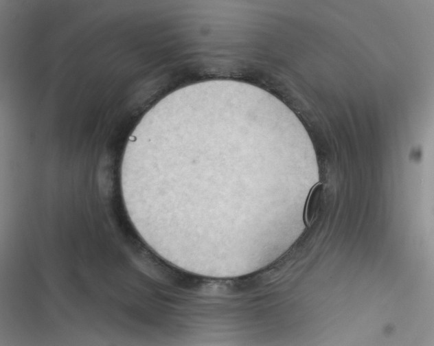 X0000116340080201001131054