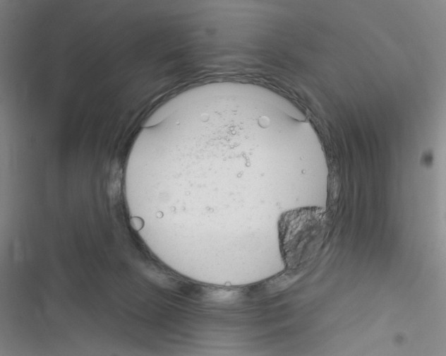 X0000116340081201001131054