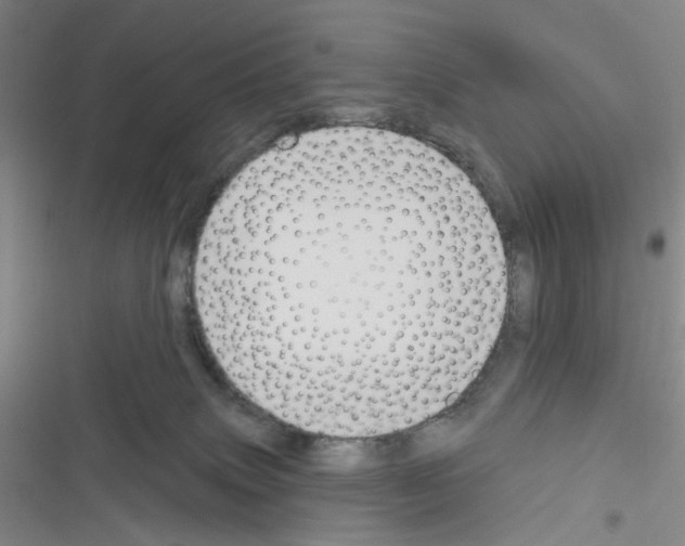 X0000116340083201001131054