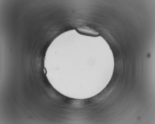 X0000116340088201001131054