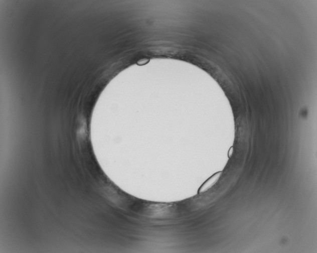 X0000116340089201001131054