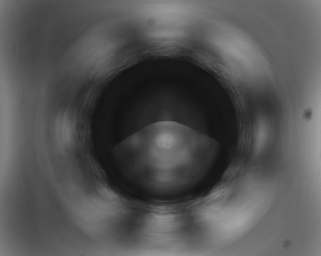 X0000116340091201001131054