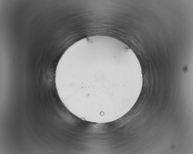 X0000116340092201001131054