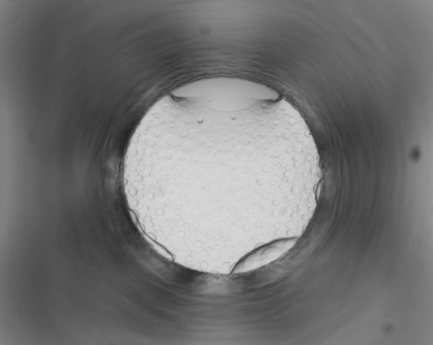 X0000116340093201001131054