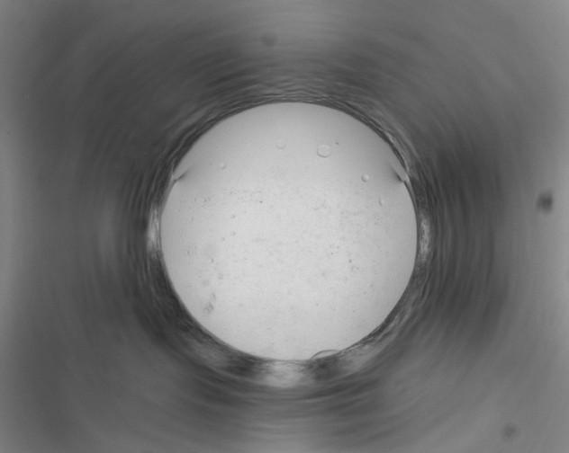 X0000116340095201001131054