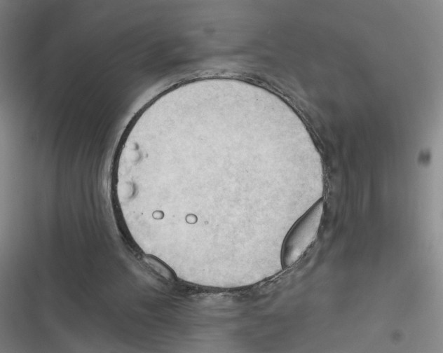 X0000116340100201001131054