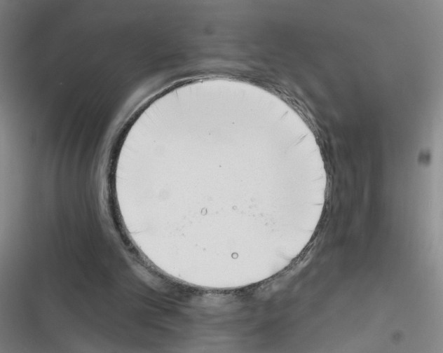 X0000116340101201001131053