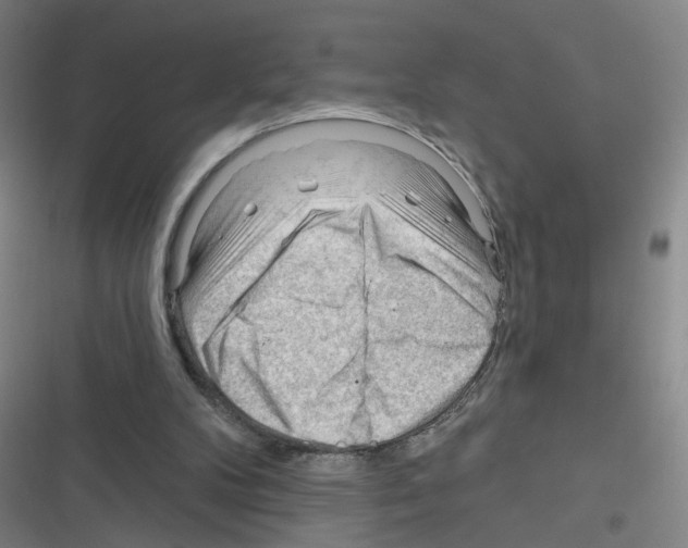 X0000116340104201001131053