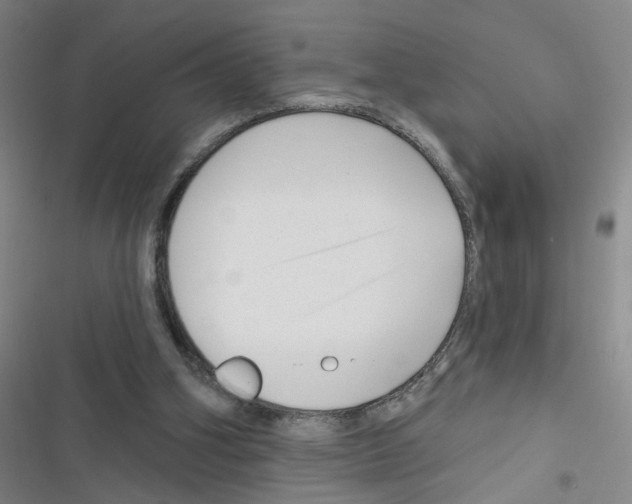 X0000116340106201001131053