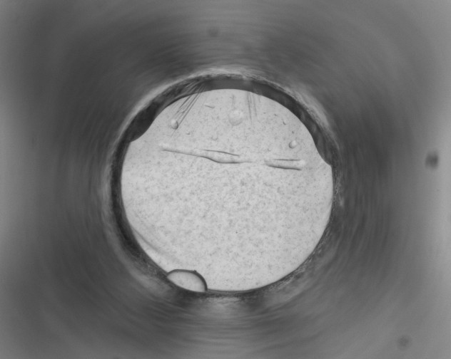 X0000116340108201001131053