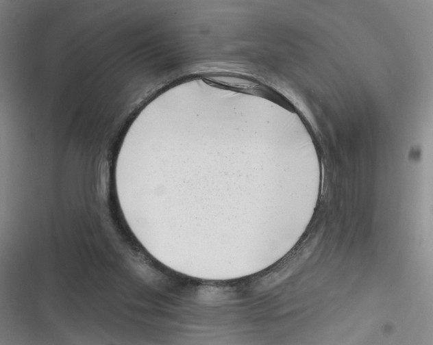 X0000116340109201001131053