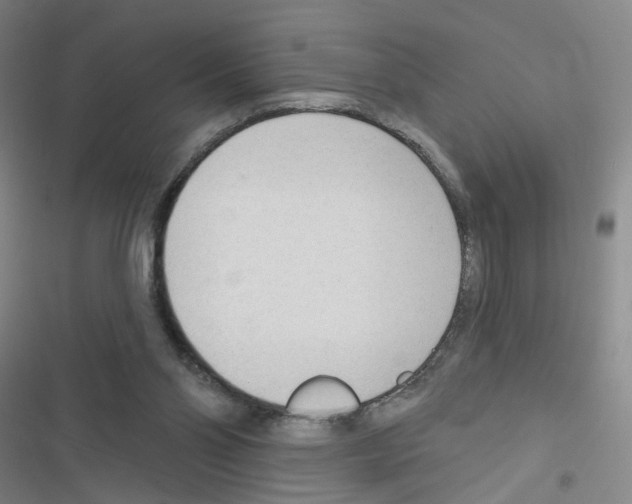 X0000116340110201001131053