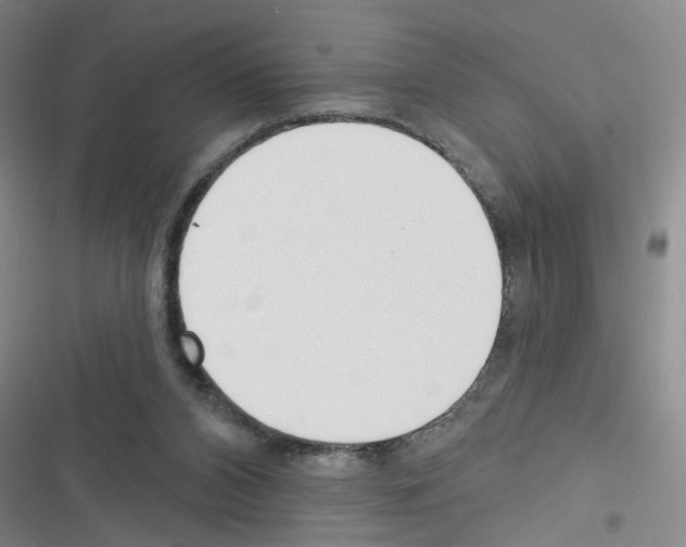 X0000116340112201001131053