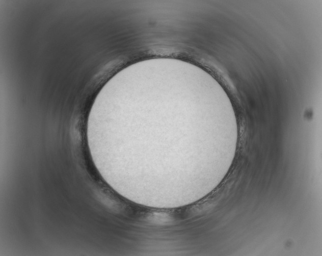 X0000116340114201001131053