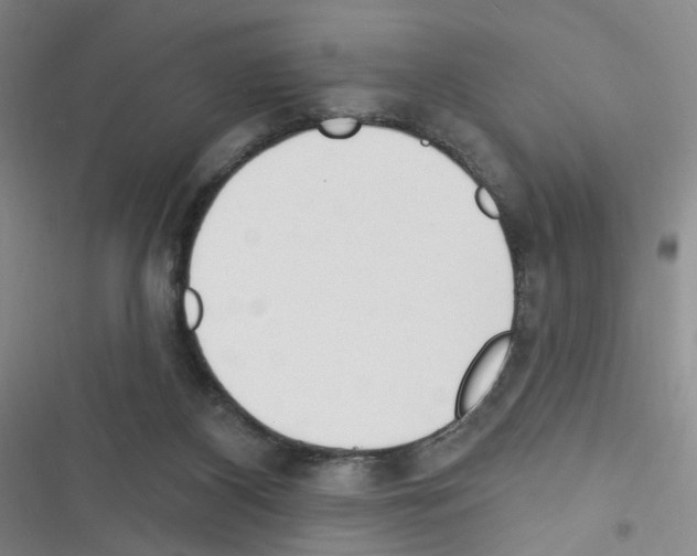 X0000116340116201001131053