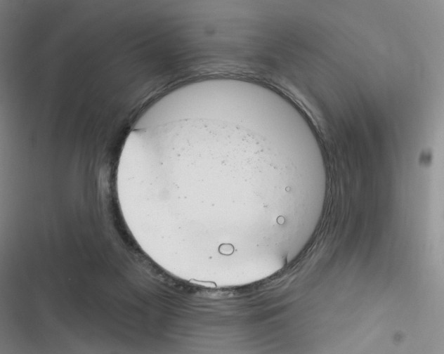 X0000116340117201001131053