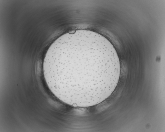 X0000116340118201001131053