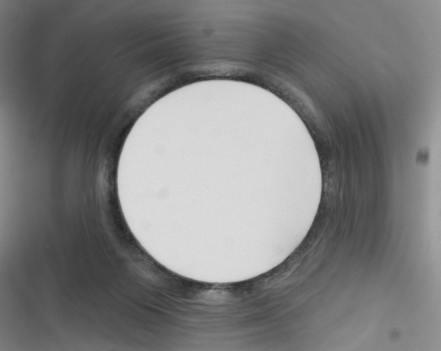 X0000116340119201001131053