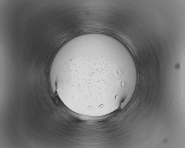 X0000116340121201001131053