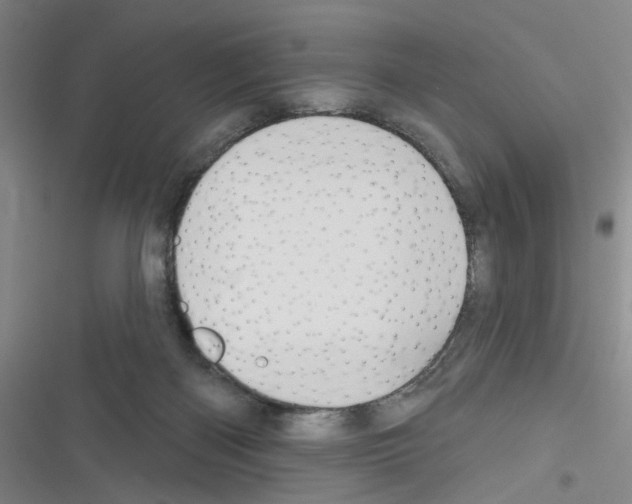 X0000116340122201001131053