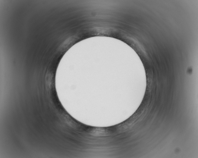 X0000116340123201001131053